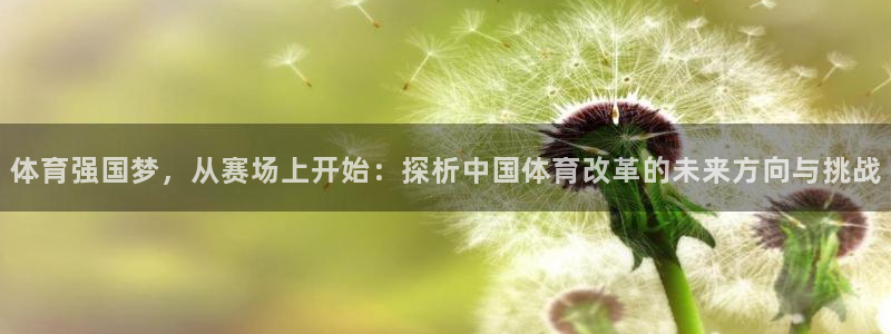 jytv鲸鱼体育直播