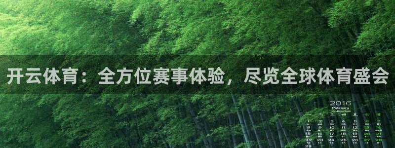 鲸鱼体育直播nba