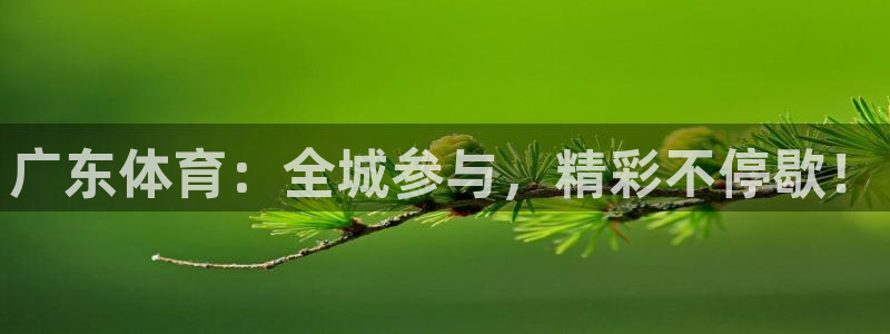 鲸鱼体育nba直播：广东体育：全城参与，精彩不停歇！