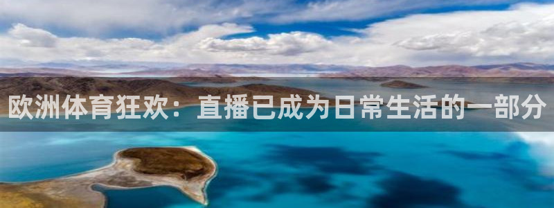 鲸鱼体育直播app免费下载：欧洲体育狂欢：直播已成为日常生活的一部分