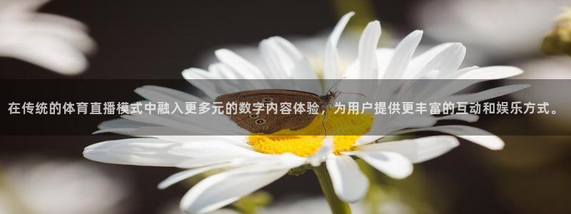 鲸鱼体育比赛直播：在传统的体育直播模式中融入更多元的数字内容体验，为用户提供更丰富的互动和娱乐方式。