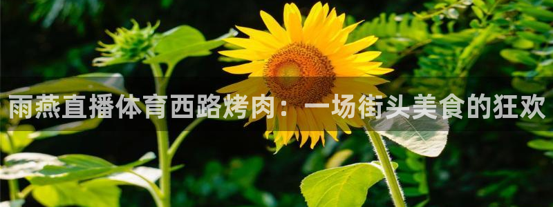 nba鲸鱼体育：雨燕直播体育西路烤肉：一场街头美食的狂欢