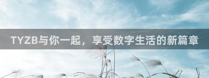 鲸鱼体育直播在线观看高清：TYZB与你一起，享受数字生活的新篇章