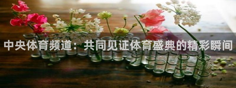 鲸鱼体育直播：中央体育频道：共同见证体育盛典的精彩瞬间