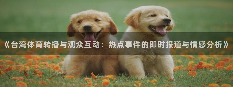 鲸鱼体育在线直播nba：《台湾体育转播与观众互动：热点事件的即时报道与情感分析》
