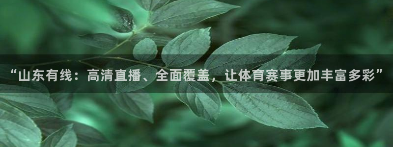 鲸鱼体育直播免费：“山东有线：高清直播、全面覆盖，让体育赛事更加丰富多彩”