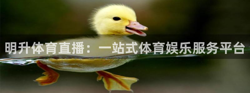鲸鱼体育app：明升体育直播：一站式体育娱乐服务平台