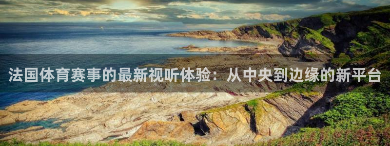 鲸鱼体育tv在线观看：法国体育赛事的最新视听体验：从中央到边缘的新平台