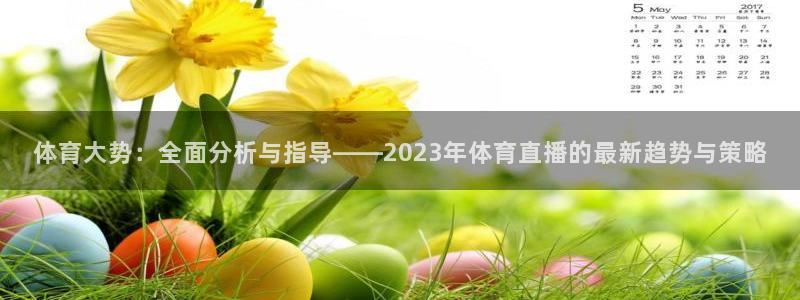 鲸鱼看球直播：体育大势：全面分析与指导——2023年体育直播的最新趋势与策略