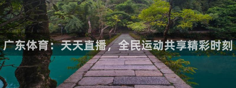 鲸鱼体育免费观看入口：广东体育：天天直播，全民运动共享精彩时刻