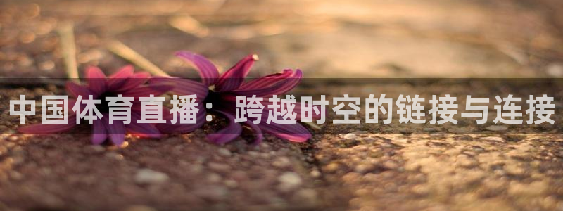 nba直播鲸鱼：中国体育直播：跨越时空的链接与连接